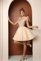 Style: F728 Homecoming Sleeveless Short Sizes 00-16 Lilac, Champagne Barbie