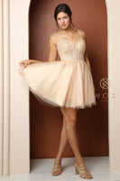 Style: F732 Short Homecoming Dance Dress 00-16 Blush, Champagne, Silver, White New Arrival