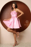 Style: T733 Candy Pink Short Dress for Homecoming. Lace appliqued with pockets 00-16